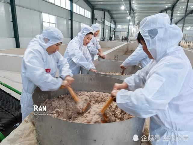 良心食品